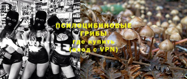 гидропоника Алексин