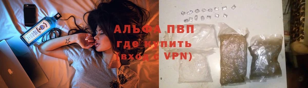 спайс Арсеньев