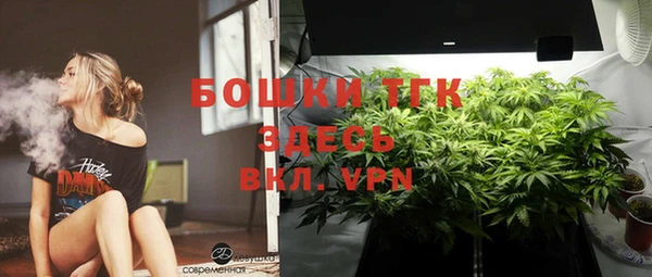 ГАЛЛЮЦИНОГЕННЫЕ ГРИБЫ Алексеевка