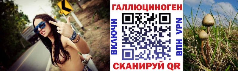 Галлюциногенные грибы Psilocybine cubensis Чапаевск